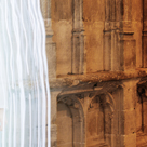 In vivo (Dans le vif)